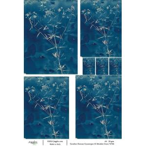 Joggles / Caroline Duncan A4 Rice Paper - Cyanotype #2 - Meadow Grass [74766]