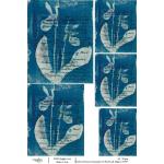 Joggles / Caroline Duncan A4 Rice Paper - Cyanotype #2 - Pink Lady Slippers [74767]