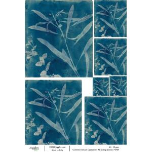 Joggles / Caroline Duncan A4 Rice Paper - Cyanotype #2 - Spring Sprouts [74768]