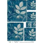 Joggles / Caroline Duncan A4 Rice Paper - Cyanotype #2 - The Nature Of It [74769]