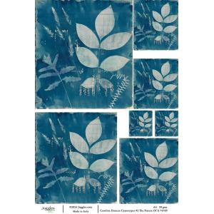 Joggles / Caroline Duncan A4 Rice Paper - Cyanotype #2 - The Nature Of It [74769]