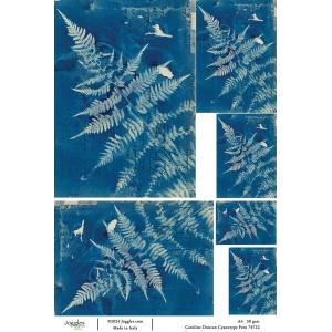 Joggles / Caroline Duncan A4 Rice Paper - Cyanotype - Fern [74722]