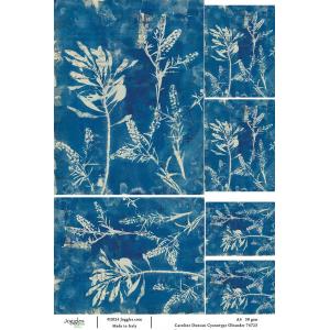 Joggles / Caroline Duncan A4 Rice Paper - Cyanotype - Oleander [74723]