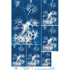 Joggles / Caroline Duncan A4 Rice Paper - Cyanotype - Running Cedar [74724]