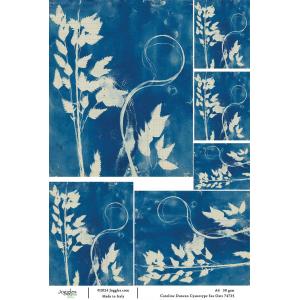 Joggles / Caroline Duncan A4 Rice Paper - Cyanotype - Sea Oats [74725]