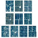 Joggles / Caroline Duncan A4 Rice Paper - Cyanotypes #2 Set Of 10 - July 2024