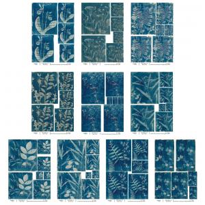 Joggles / Caroline Duncan A4 Rice Paper - Cyanotypes #2 Set Of 10 - July 2024