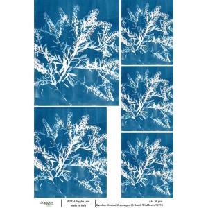 Joggles / Caroline Duncan A4 Rice Paper - Cyanotypes #3 - Beach Wildflower [74776]