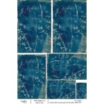 Joggles / Caroline Duncan A4 Rice Paper - Cyanotypes #3 - December 1906 [74777]