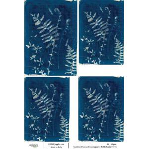 Joggles / Caroline Duncan A4 Rice Paper - Cyanotypes #3 - Fiddleheads [74778]