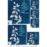 Joggles / Caroline Duncan A4 Rice Paper - Cyanotypes #3 - For The Value Received [74779]