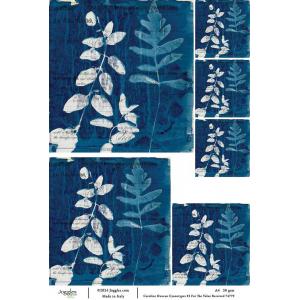 Joggles / Caroline Duncan A4 Rice Paper - Cyanotypes #3 - For The Value Received [74779]