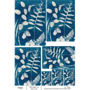 Joggles / Caroline Duncan A4 Rice Paper - Cyanotypes #3 - Letter Home [74781]