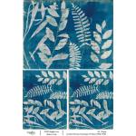 Joggles / Caroline Duncan A4 Rice Paper - Cyanotypes #3 - Nature Walk [74782]