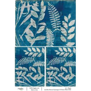 Joggles / Caroline Duncan A4 Rice Paper - Cyanotypes #3 - Nature Walk [74782]