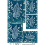 Joggles / Caroline Duncan A4 Rice Paper - Cyanotypes #3 - Rockcap Fern [74783]
