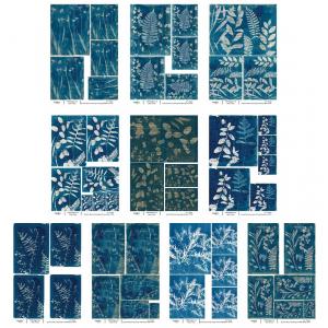 Joggles / Caroline Duncan A4 Rice Paper - Cyanotypes #3 Set Of 10 - August 2024