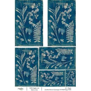 Joggles / Caroline Duncan A4 Rice Paper - Cyanotypes #3 - Wild Things [74785]