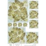 Joggles / Caroline Duncan A4 Rice Paper - Eco Print 2 - Dogwood [52226]