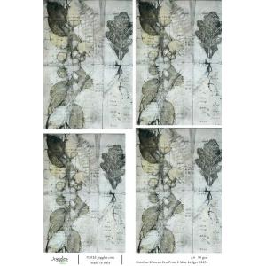 Joggles / Caroline Duncan A4 Rice Paper - Eco Print 2 - Misc Ledger [52231]