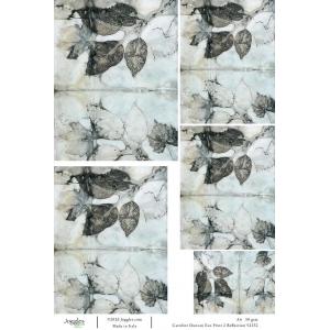 Joggles / Caroline Duncan A4 Rice Paper - Eco Print 2 - Reflection [52232]