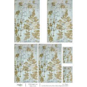 Joggles / Caroline Duncan A4 Rice Paper - Eco Print 2 - Rusty Impressions [52233]