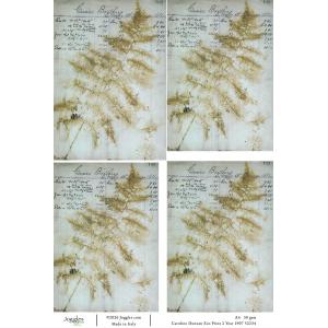 Joggles / Caroline Duncan A4 Rice Paper - Eco Print 2 - Year 1907 [52234]