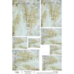 Joggles / Caroline Duncan A4 Rice Paper - Eco Print - 3 Rusty Ferns [52195]