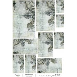 Joggles / Caroline Duncan A4 Rice Paper - Eco Print - Oak Ledger [52200]