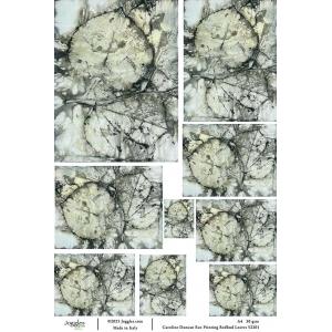 Joggles / Caroline Duncan A4 Rice Paper - Eco Print - Redbud Leaves [52201]