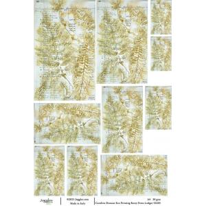 Joggles / Caroline Duncan A4 Rice Paper - Eco Print - Rusty Ferns Ledger [52203]