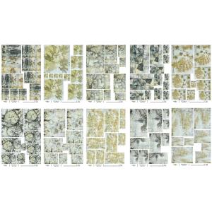 Joggles / Caroline Duncan A4 Rice Paper - Eco Print Set Of 10 - November 2025
