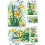 Joggles / Caroline Duncan A4 Rice Paper - Florals - Daffodils [74727]