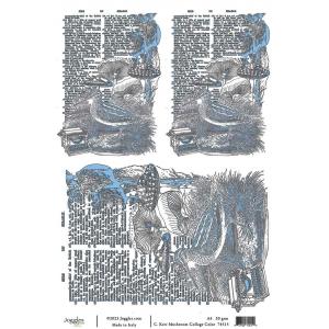 Joggles / Cat Kerr A4 Rice Paper - Mushroom Collage, Color [74515]