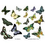 Joggles Collage Sheets - Blue And Green Butterflies II [JG401059]