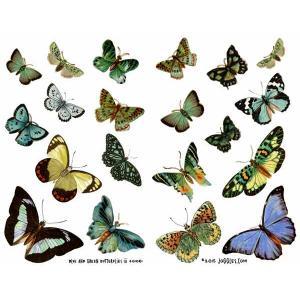 Joggles Collage Sheets - Blue And Green Butterflies III [JG401061]