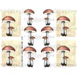 Joggles Collage Sheets - Fabulous Forest Fungi 1 [JG401197]