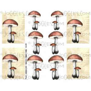 Joggles Collage Sheets - Fabulous Forest Fungi 1 [JG401197]