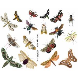 Joggles Collage Sheets - Flying Things [JG401068]