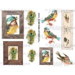 Joggles Collage Sheets - Framed Birds 1 [JG401255]