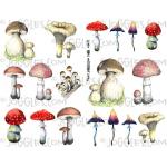 Joggles Collage Sheets - Fungi [JG401177]