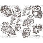 Joggles Collage Sheets - Hoot Hoot [JG401258]