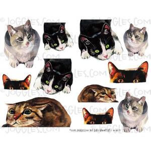Joggles Collage Sheets - Not Quite Grumpy Cat I [JG401277]
