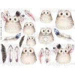 Joggles Collage Sheets - Owls #3 [JG401294]
