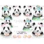 Joggles Collage Sheets - Panda Portraits 1 [JG401184]