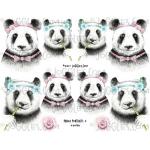 Joggles Collage Sheets - Panda Portraits 4 [JG401193]