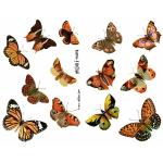 Joggles Collage Sheets - Papillion II [JG401058]