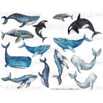 Joggles Collage Sheets - Song of the Whales [JG401293]