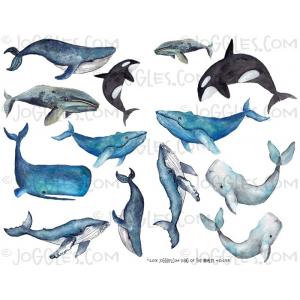 Joggles Collage Sheets - Song of the Whales [JG401293]