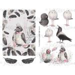 Joggles Collage Sheets - Spring Crows [JG401276]